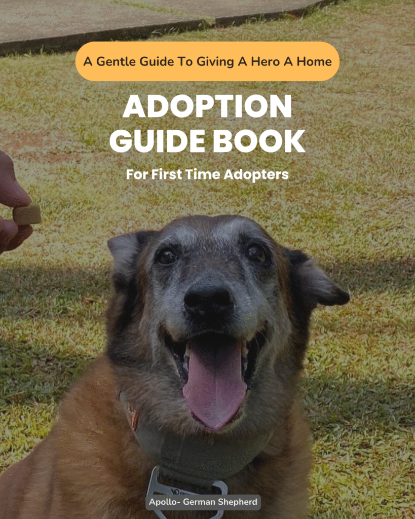 adoption guide