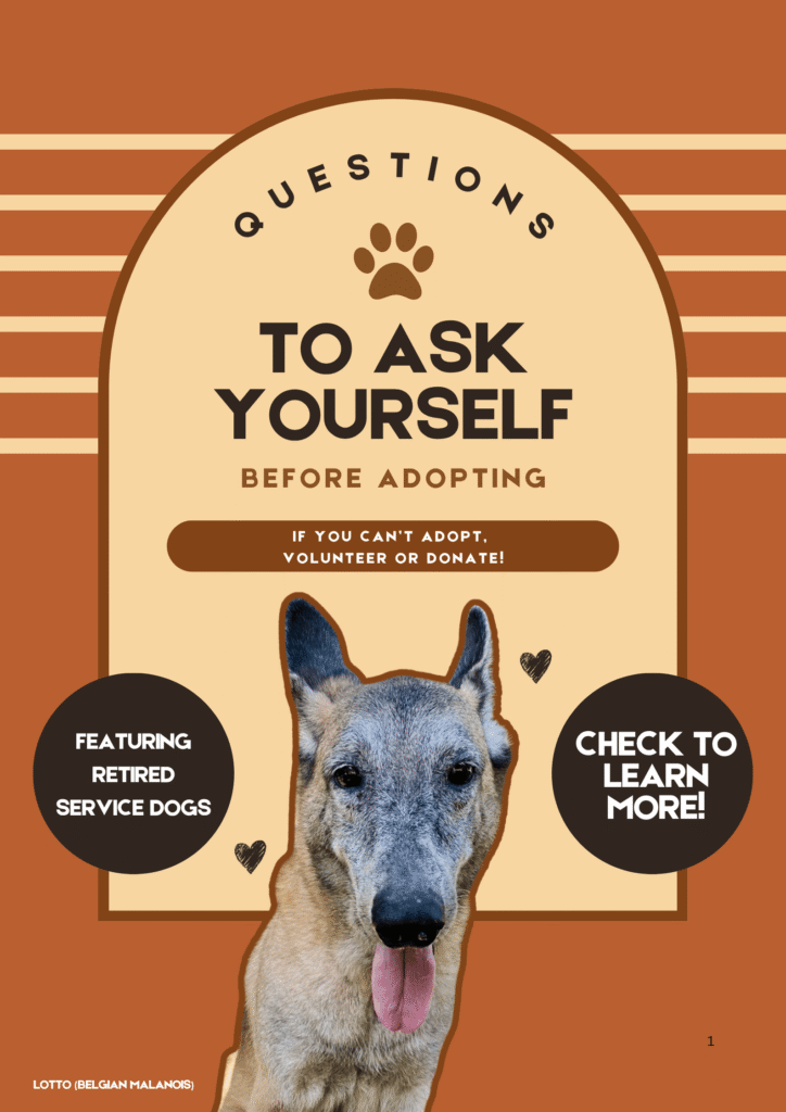 adoption guide checklist draft